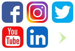 Social media icons